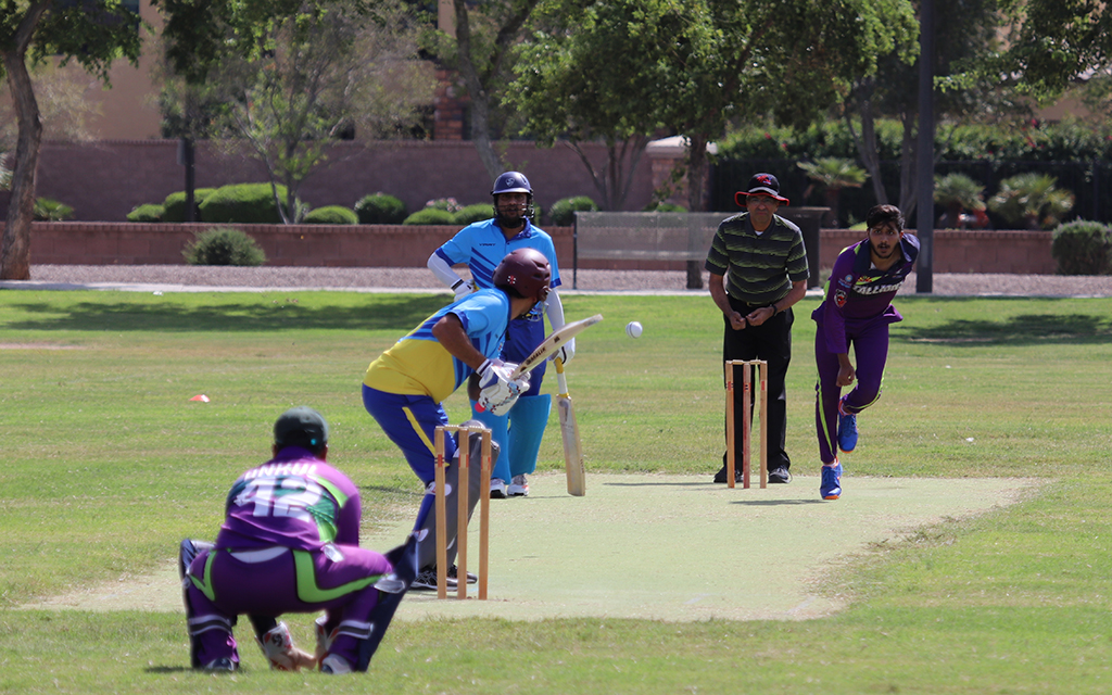 Arizona reaping benefits of cricket's renaissance in United States