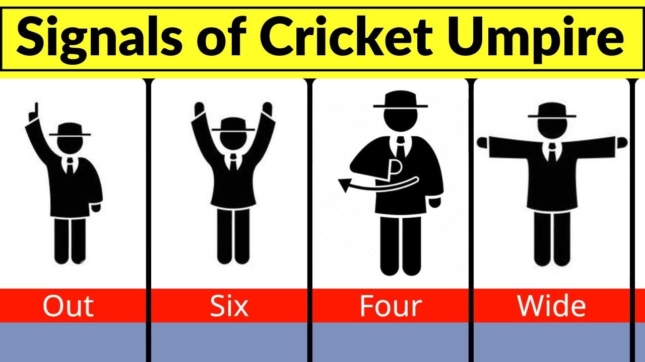 signals of cricket umpire | cricket umpire signals | signals used by umpire in cricket | umpire - YouTube