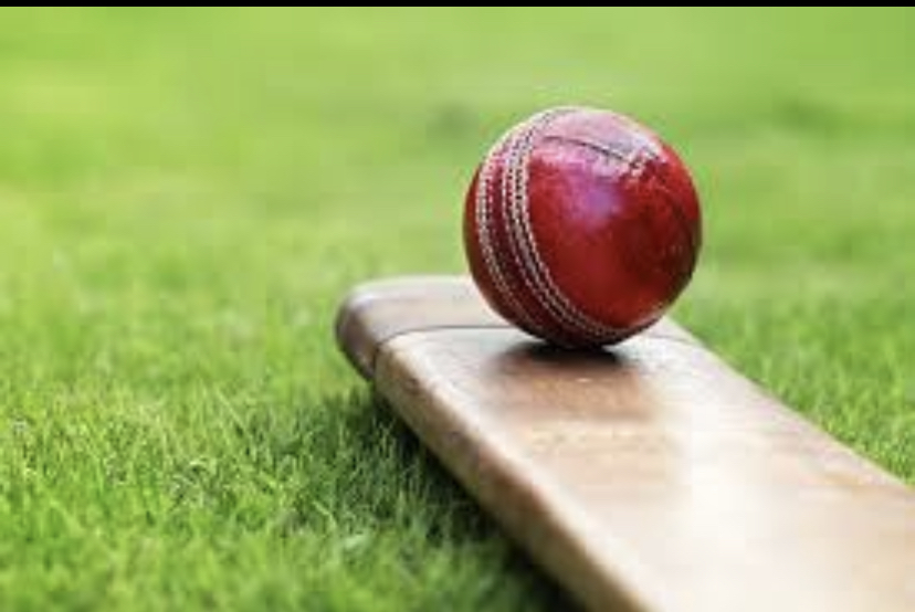 Top 8 Most Interesting Cricket Facts You Didn't Know – Five Reasons Sports Network