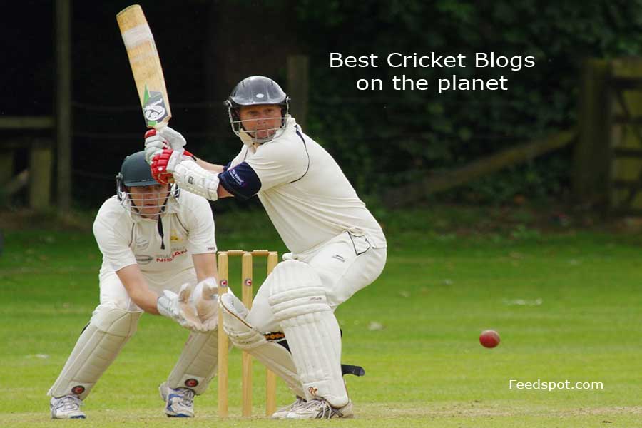100 Best Cricket Blogs and Websites To Follow in 2023