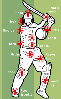 Understanding cricket shoulder injuries - Cape Shoulder Institute