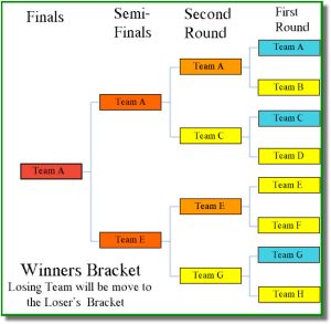 Delhi Li'l Cricket League. India's No 01 Performance based Cricket League