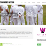 Top 5 Cricket Blogs - The Blog Review